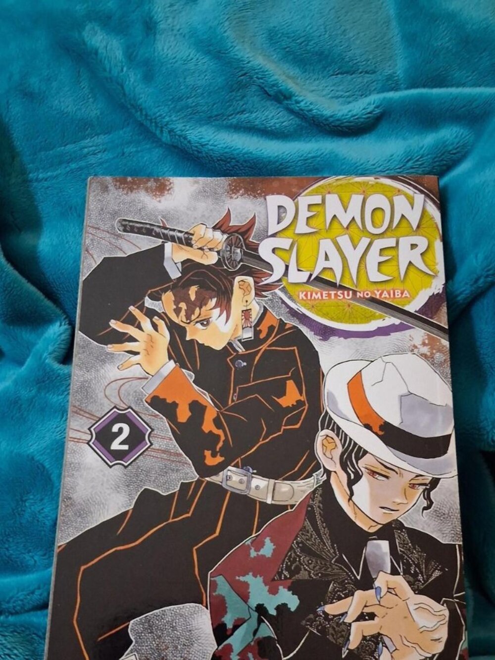 Demon Slayer: Kimetsu no Yaiba Volume 2 by Koyoharu Gotouge. Viz English Manga